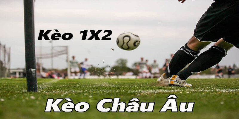 Lên kèo thắng thua cực chất cùng hướng dẫn tân thủ